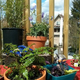 Illustration for article titled Successes in Gardening- I set up a pretty nice deck!